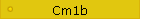 Cm1b