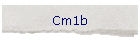 Cm1b