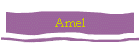 Amel