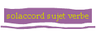 solaccord sujet verbe