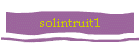 solintruit1