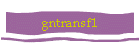 gntransf1