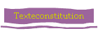 Texteconstitution