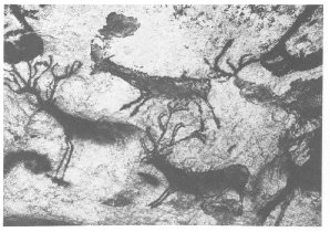 Lascau : groupes de cerfs sur la grotte de Lascaux découverte en 1940 par des enfants (Photo Archives photographiques.) du dictionnaire d' Histoire de France de  Perrin  Alain Decaux et André Castelot Librairie Académique Pérrin  P551