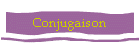 Conjugaison