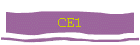 CE1
